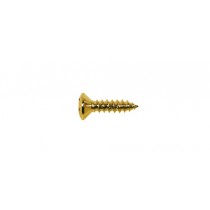 BOSTON TS-01-G 12 STUKS - SCHROEF VERGULD 3X12MM