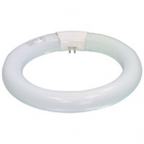 MAG-SPARE - LAMP RONDE TL T9 22W VOOR LOEPLAMP