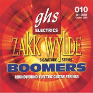 GHS GBZW ZAKK WYLDE - SNAREN 010-060 NICKELWOUND