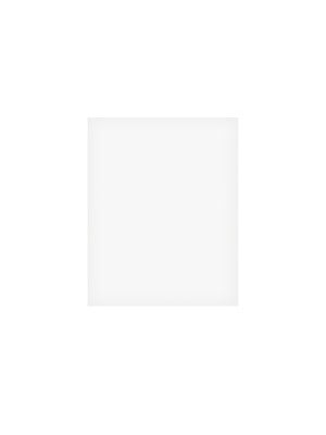 BOSTON GG-CL ZELFKLEVEND - SLAGPLAAT TRANSPARANT 20X25CM DUN