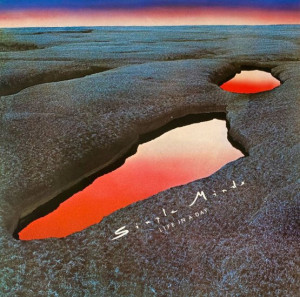 SIMPLE MINDS - LIFE IN A DAY -VINYL-