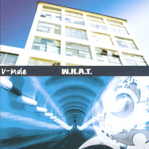 V-MALE - WHAT, cd