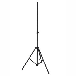 BOSTON LS-100-BK PER/STUK - STANDAARD LICHT 300CM 30KG 35MM