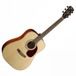 CORT EARTH 70 OP2 NATURAL OVANKOL TOETS - GITAAR WESTERN SOLID TOP OPEN PORE