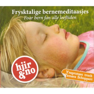 VARIOUS - FRYSKTALIGE BERNEMEDITAASJES