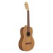 Zijaanzicht van de KREMONA GG58C GREEN GLOBE - GITAAR KLASSIEK 3/4 SOLID CEDAR AND SAPELE