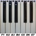 ROLAND J2579125 - TOETS NATURAL KEY MI E7