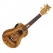 ORTEGA LIZARD-CC-GB - UKELELE CONCERT DAO EQ + GIGBAG