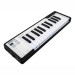ARTURIA MICROLAB BLACK - MIDI KEYBOARD CONTROLLER 25 TOETSEN + SOFTWARE