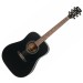 CORT EARTH 70 BS2 BLACK SATIN - GITAAR WESTERN SOLID TOP ZWART