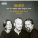 TETZLAFF, CHRISTIAN & TANJA / LARS VOGT - SCHUBERT: PIANO TRIOS/NOTTURNO/RONDO/ARPEGGIONE SONATA - cd