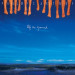 MCCARTNEY, PAUL - OFF THE GROUND - cd