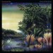 FLEETWOOD MAC - TANGO IN THE NIGHT -LP-