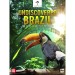 DOCUMENTARY - UNDISCOVERED BRAZIL - dvd