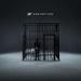 NF - PERCEPTION - cd