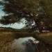CAREY, S. - HUNDRED ACRES - cd