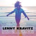 KRAVITZ, LENNY - RAISE VIBRATION - cd