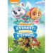ANIMATIE - PAW PATROL 5 - ONTMOET EVEREST