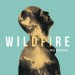 GEUSEBROEK, NIELS - WILDFIRE - cd