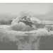 IF THESE TREES COULD TALK - BONES OF A DYING WORLD - cd