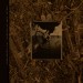 PIXIES - C'MON.. -LTD- - cd
