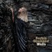 STREISAND, BARBRA - WALLS - cd