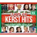 VARIOUS - KERST HITS UIT DE TOP 40 2016 - cd