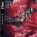 FOALS - EVERYTHING NOT SAVED.. - cd