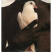 SANTANA - GREATEST HITS - Lp, 2e hands