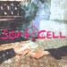SOFT CELL - CRUELTY WITHOUT BEAUTY - cd